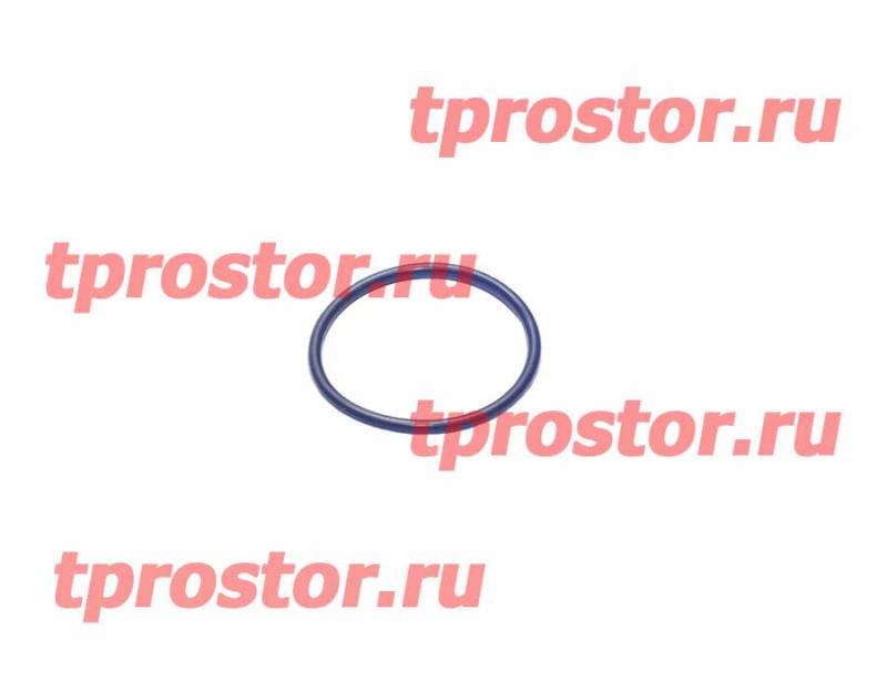 0000 Кольцо уплотнительное бачка ПГУ (резина) 