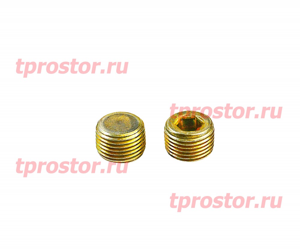 0870882-009 Пробка в ПГУ
