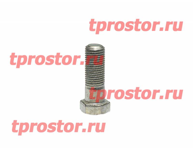 1/13943/31 Болт М14х1,5-6gх45 1