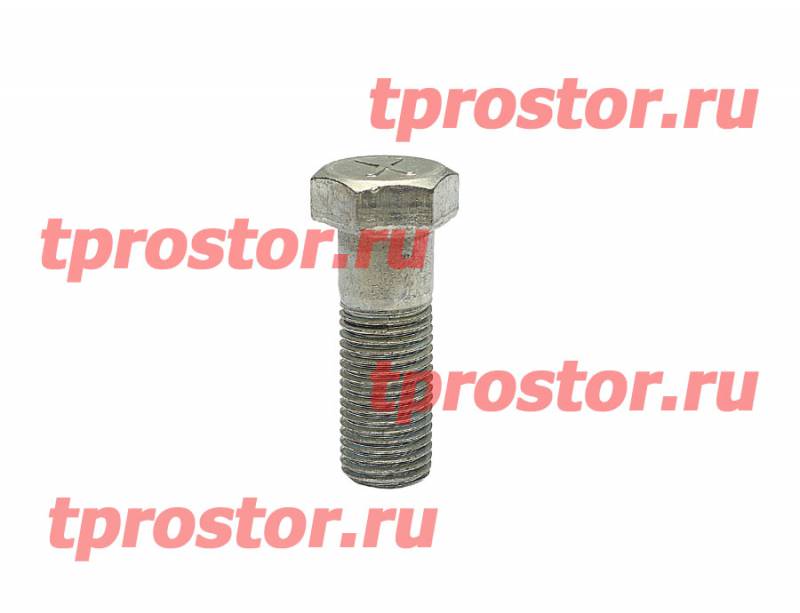 1/13943/31 Болт М14х1,5-6gх45 2