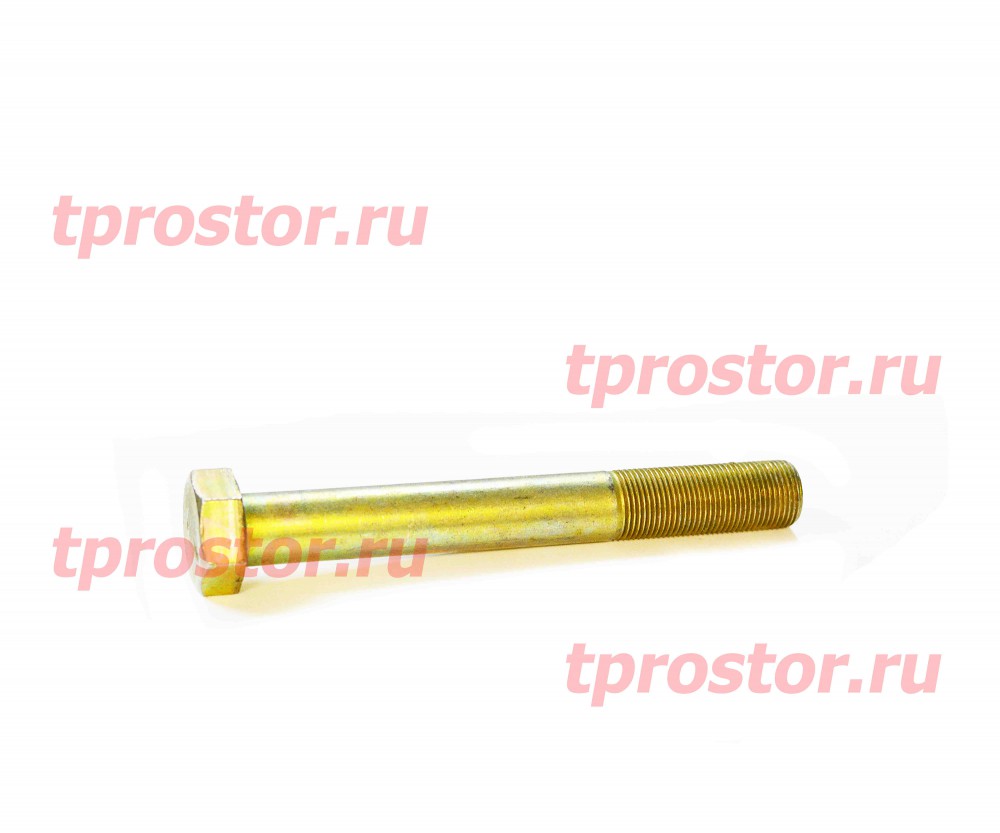1/59903/21 Болт крепления двигателя, башмака (М20*160)
