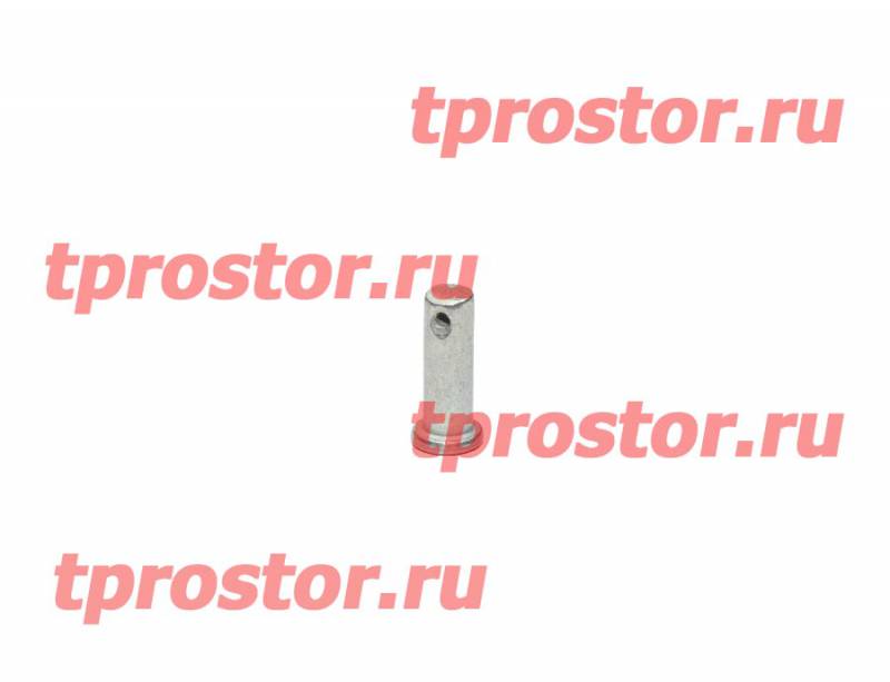 260058-П29 Палец (10*30)