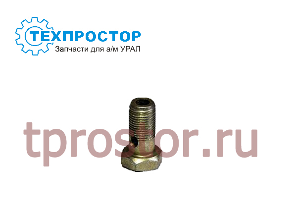310122-П2 Болт М10*1*22 топливной трубки