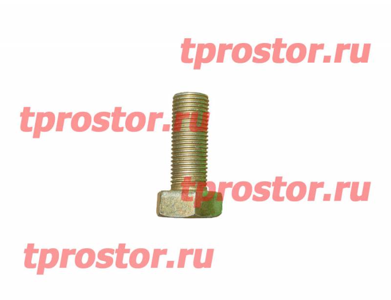 333830 Болт крепления колёсного цилиндра к суппорту тормоза (М 12*1,25*20)