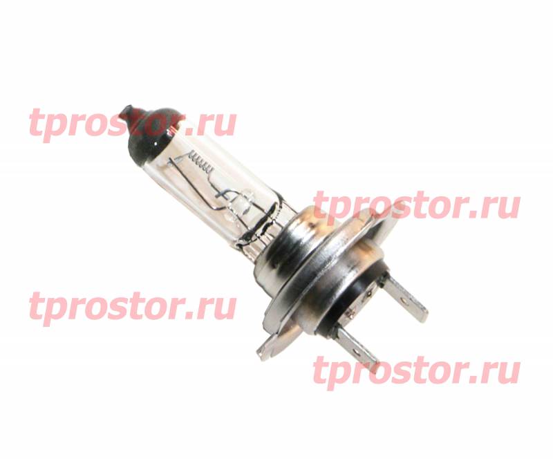 АКГ 24-70 (Н1) Автолампа