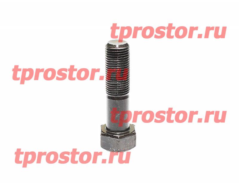 ГОСТ 11674-75 Болт башмачный (М16)
