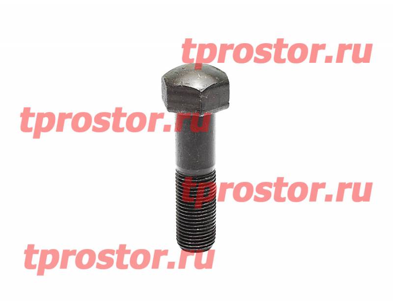 ГОСТ 11674-75 Болт башмачный (М16)