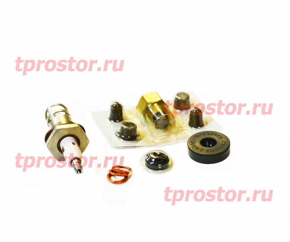 ПЖД30-1015980 Ремкомплект предпуского подогревателя (ПОЛНЫЙ)